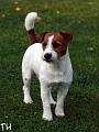 090829 pyry